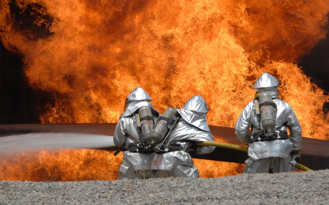 Dinas Damkar Sukamara Evakuasi Ular di Pinggir Sungai